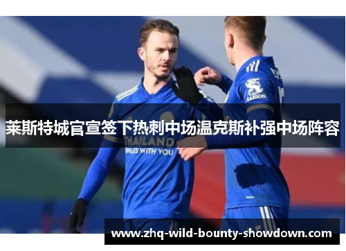 莱斯特城官宣签下热刺中场温克斯补强中场阵容