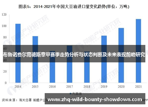 布鲁诺费尔南德斯意甲赛季走势分析与状态判断及未来表现前瞻研究